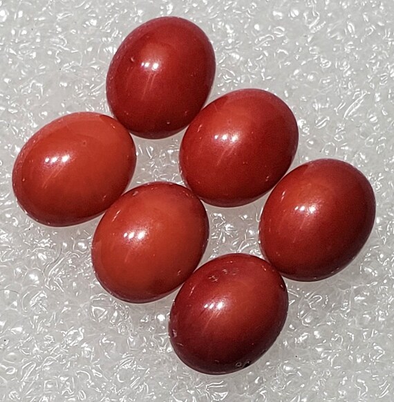 Red Bamboo Coral - Cabochon Red Bamboo Coral - Cabochon
