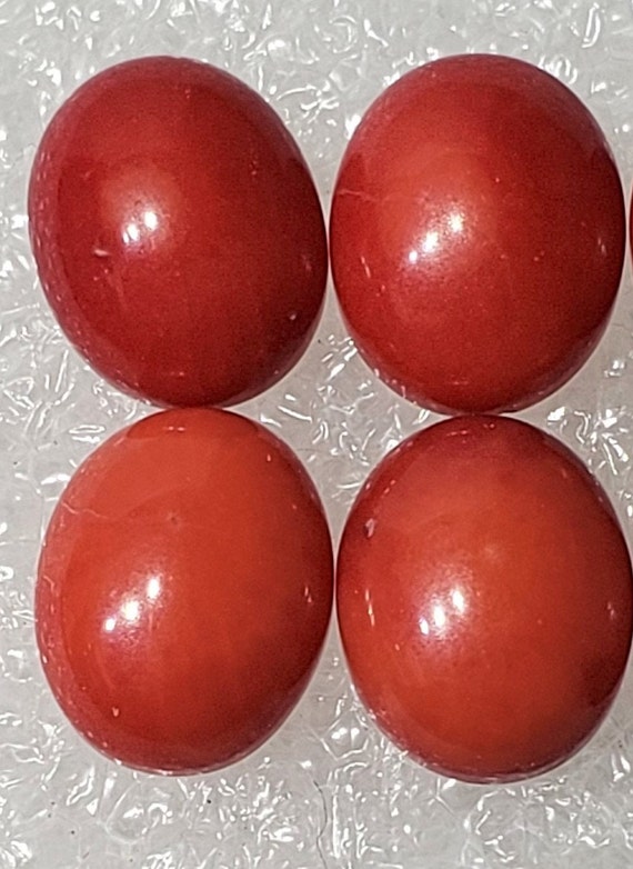 Red Bamboo Coral - Cabochon Red Bamboo Coral - Cabochon
