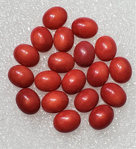 Red Bamboo Coral - Cabochon Red Bamboo Coral - Cabochon