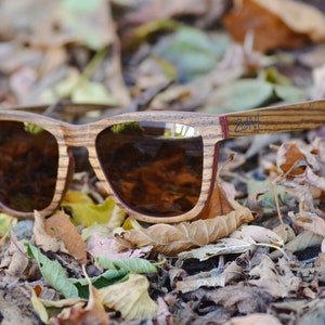May include: Wooden sunglasses with brown lenses, resting on a bed of fallen leaves. The sunglasses have a red stripe along the top of the frame and the brand name "Zani" is printed on the right temple.
