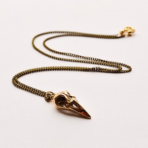 Bronze Raven Skull Pendant on Brass Chain, Talisman Skull Necklace, Totem Animal