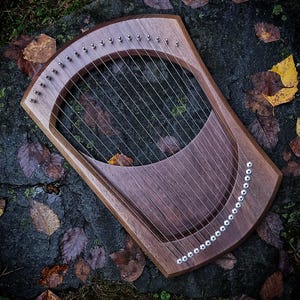 May include: A wooden lyre with strings, resting on a bed of fallen leaves. The lyre is made of dark wood and has a rounded shape. The strings are made of metal and are stretched across the lyre's frame.