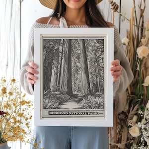 Redwood National Park Lithograph Style Print - Vintage California archival matte fine art print. Jedediah Smith Prairie Creek Redwoods Gift