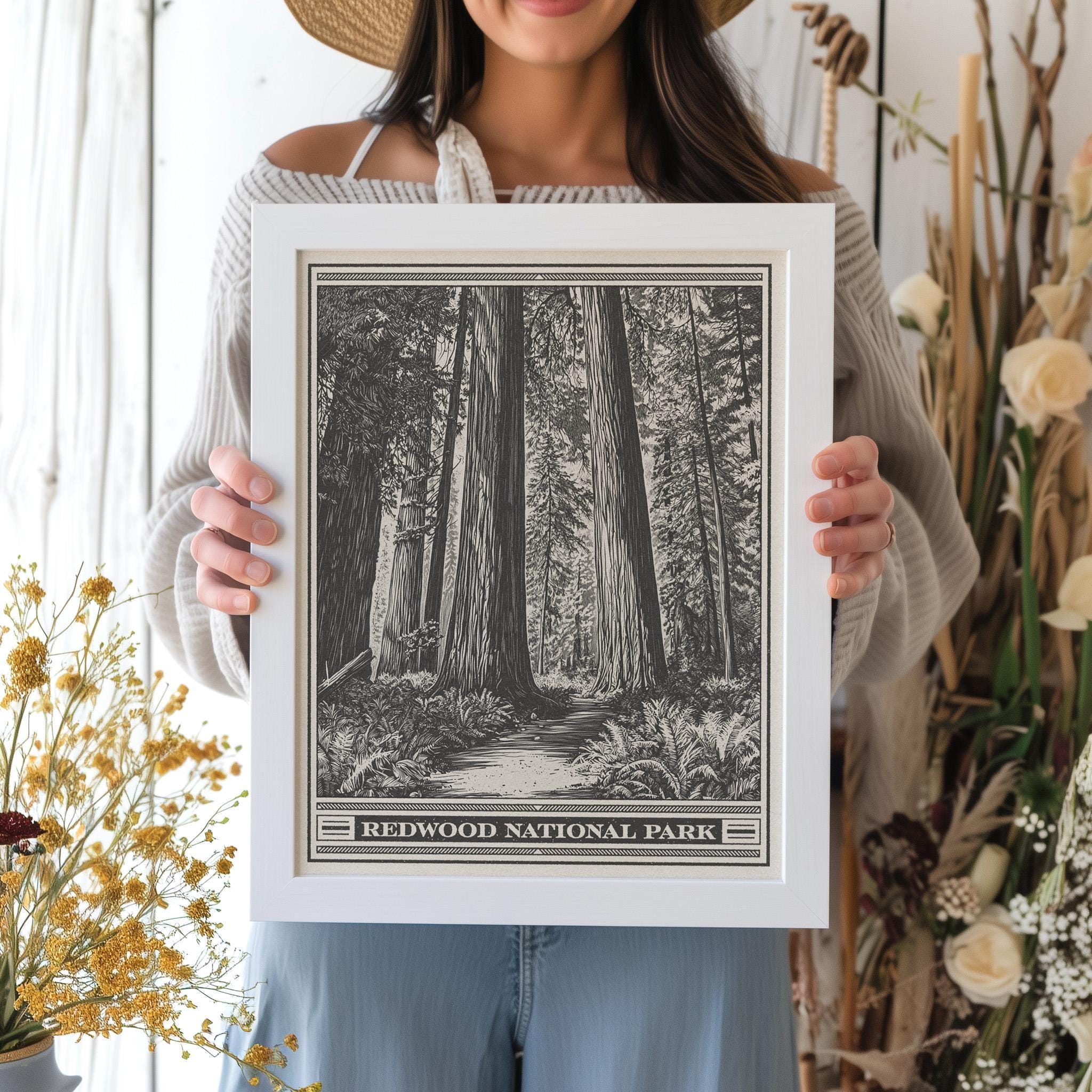 Redwood National Park Lithograph Style Print - Vintage California archival matte fine art print. Jedediah Smith Prairie Creek Redwoods Gift