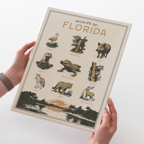 Florida Wildlife Wall Art Print - Vintage poster design, archival quality matte fine art print. Outdoor, wilderness gift. Animal print.