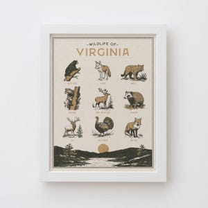 Virginia Wildlife Wall Art Print - Vintage animal poster design, archival quality matte fine art print. Outdoor, state gift.