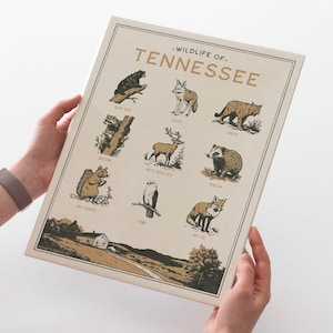 Lámina artística de fauna de Tennessee: diseño vintage de póster de animales, impresión artística mate de calidad de archivo. Regalo estatal para exteriores.