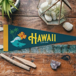Hawaii Felt Pennant | Aloha Spirit state banner poster. Vintage typography camp flag pennant home decor. USA Handmade