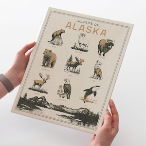 Alaska Wildlife Wall Art Print - Vintage animal poster design, archival quality matte fine art print. Outdoor, wilderness state gift.