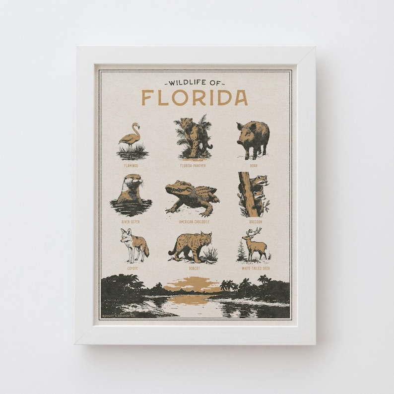 Florida Wildlife Wall Art Print - Vintage poster design, archival quality matte fine art print. Outdoor, wilderness gift. Animal print. image 2