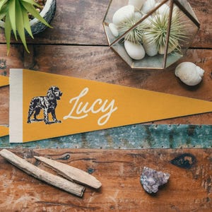 Custom Boykin Spaniel Dog Name Felt Pennant | Personalized vintage style banner flag, Your Pet, Owner Gift, Dog Lover Sign, Family Gift