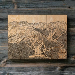 Mappa delle piste da sci di Lake Louise, Alberta, Canada / Decorazione murale in legno incisa, decorazione per baita invernale, poster per piste da snowboard, regalo personale per la famiglia