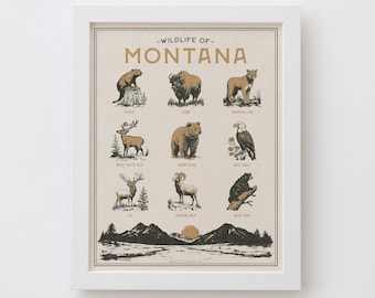 Könnte beinhalten: Ein gerahmter Druck mit dem Titel "Wildlife of Montana" mit Illustrationen von Tieren wie Biber, Bison, Berglöwe, Hirsch, Bär und Adler. Der Druck hat einen beigefarbenen Hintergrund und einen weißen Rahmen.