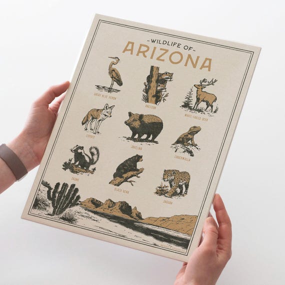 Arizona Wildlife Wall Art Print - Vintage Poster Design, Archival