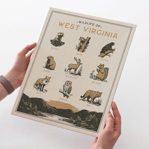 West Virginia Wildlife Wall Art Print - Vintage animal poster design, archival quality matte fine art print. Outdoor, state gift.