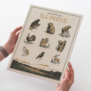 Illinois Wildlife Wall Art Print - Vintage posterontwerp, matte fine-art print van archiefkwaliteit. Outdoor, wilderniscadeau.