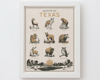 Texas Wildlife Wall Art Print - Vintage poster design, archival quality matte fine art print. Outdoor, wilderness gift.