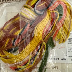 May include: A close-up of a plastic bag filled with colorful embroidery floss. The floss is arranged in a random pattern and is ready to be used for a craft project. The bag is labeled with the text "1004 LIFE IS" and "1979".