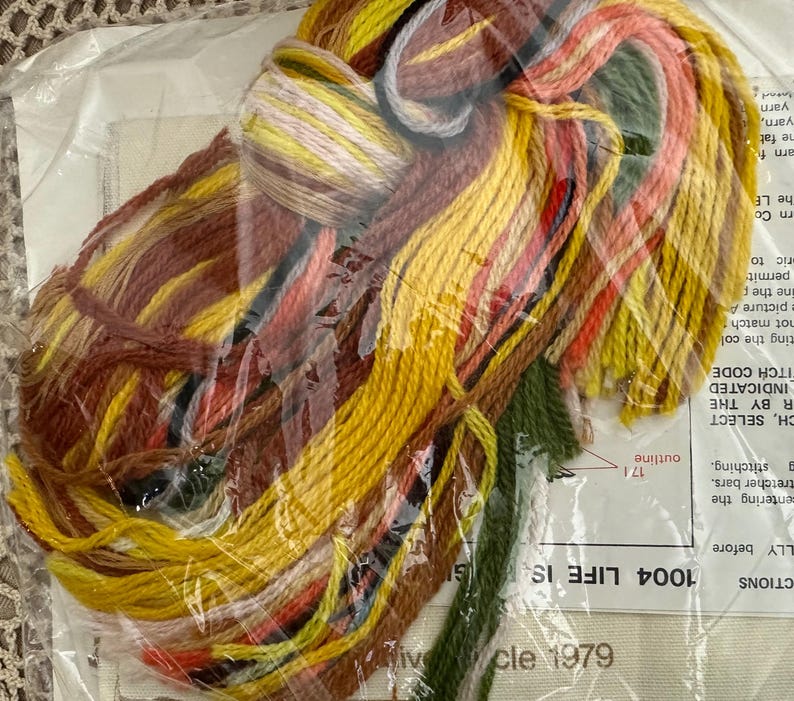 May include: A close-up of a plastic bag filled with colorful embroidery floss. The floss is arranged in a random pattern and is ready to be used for a craft project. The bag is labeled with the text "1004 LIFE IS" and "1979".