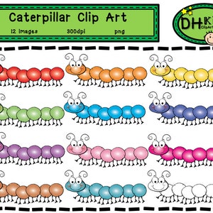 Caterpillar Clip Art - Insect Clip Art - Metamorphosis Clip Art, Bug instant download, Bug art, insect download, classroom clipart