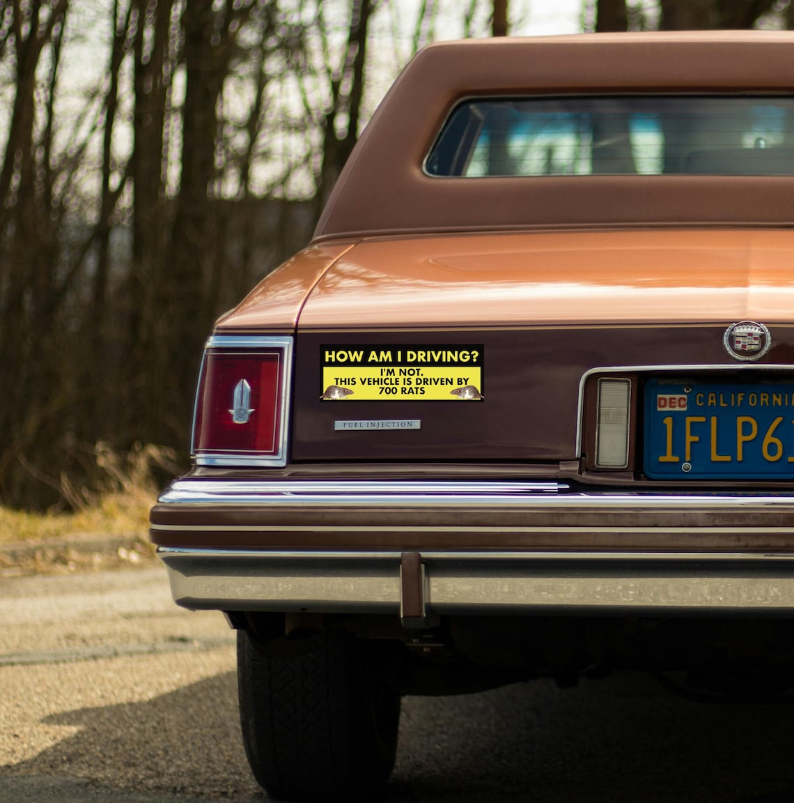 Funny Car Bumper Sticker 
