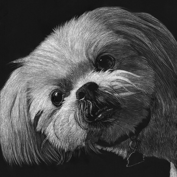Dog Scratch Board Etsy