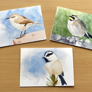 Cards, Greeting cards, Watercolor, watercolour, bird painting, nature, wildlife art, art