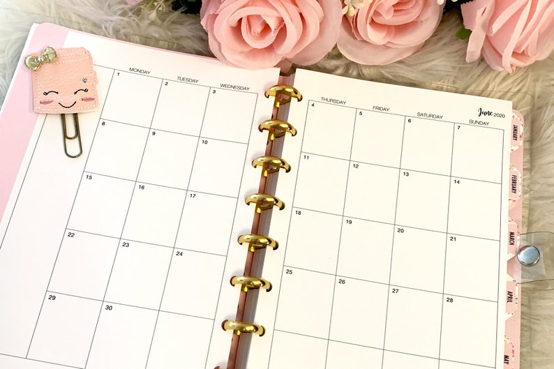 Printed Discbound Inserts FULL MONTHLY Planner Junior Etsy