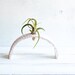 minimalist airplant holder,ceramic airplant holder,plant holder,desk airplant holder, minimalist plant decor, airplant cradle,blush planter