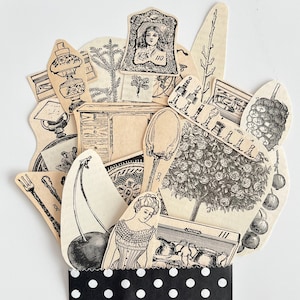 VINTAGE UITSNIJDINGEN | Junkjournaalstukken Antieke papiercollage Oude bloemenfoto's Efemere verfraaiingen Eaton-catalogus Slakkenpostcadeau |
