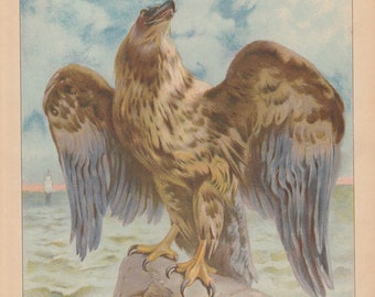 Majestic Golden Eagle Bird by Seashore Lighthouse Antique Lithograph Eagle Bird Art Print 1892