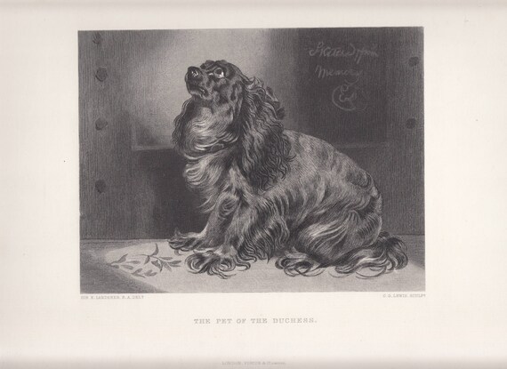 Schwarz Cocker Spaniel Vintage Wörterbuch Seite Bild Druck Tiere Hund IN Kleider