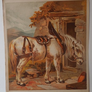Proyecto de caballo en arnés litografía antigua 1872 John Herring arte del caballo