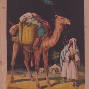 Arab Man Traveling with Camel Antique Animal Art Print Lithograph 1865