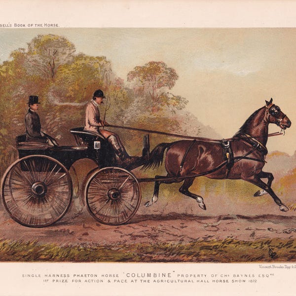 Single Harness Horse Racing Champion " Colombine " Antique Chromolithograph 1873