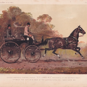 Litografía de caballos antiguos, carreras de arneses, conducción, faetón, caballos, animales equinos, arte, impresión antigua, 1873