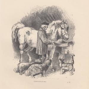 Man in Stable Feeding Horse Dogs Barn Cat Animals Antique Art Print 1867