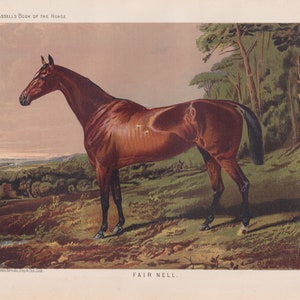 Champion Thoroughbred Race Horse Fair Nell Equine Antique Lithograph Horse Art Print 1873