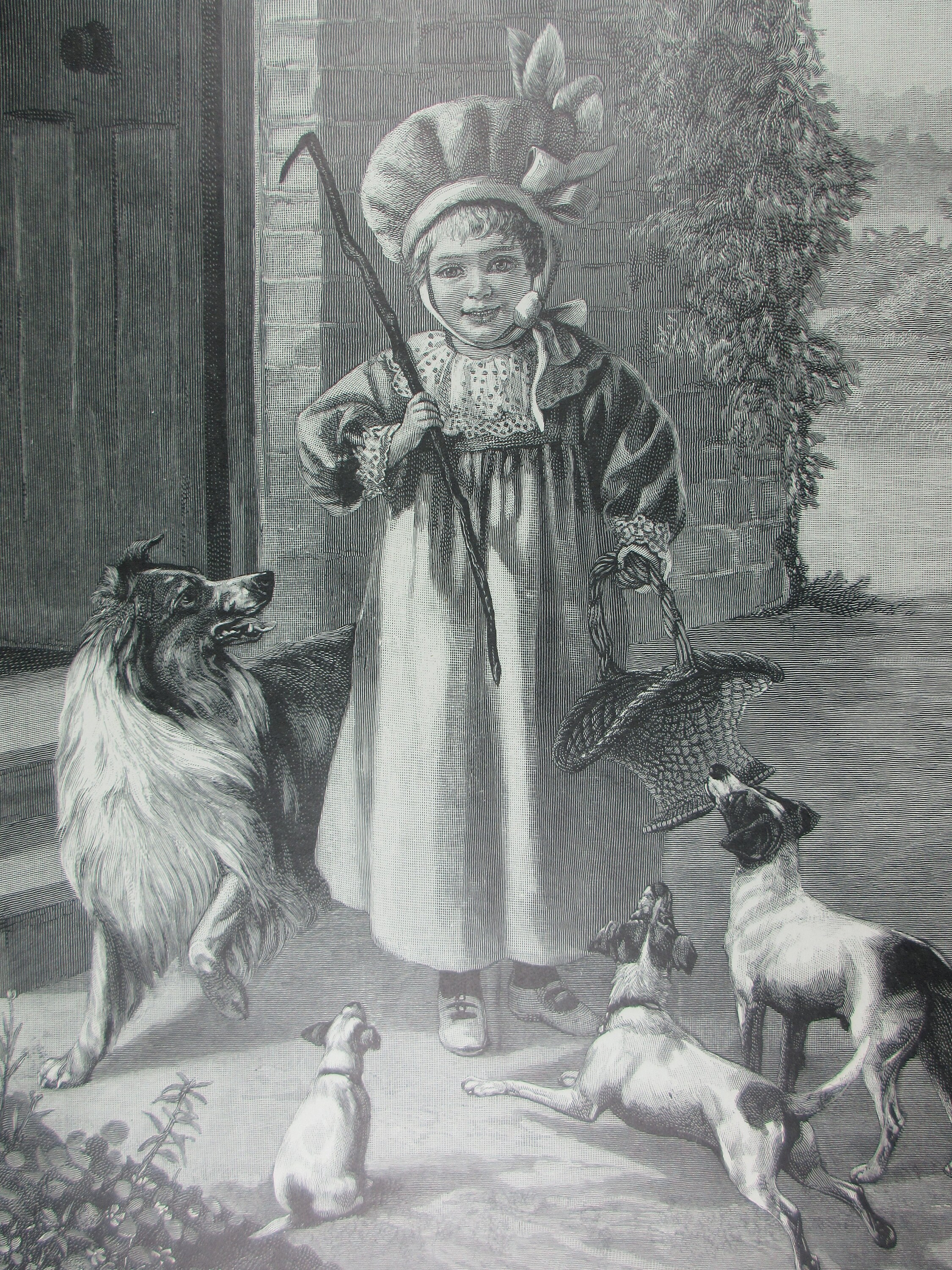 Boy Collie & Jack Russell Terrier Dogs Antique Print 1902 - Etsy
