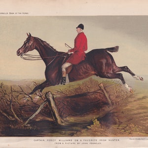 Early Fox Hunting Equestrian Man & Irish Hunter Horse Foxhunt Antique Equine Art Print Lithograph 1873