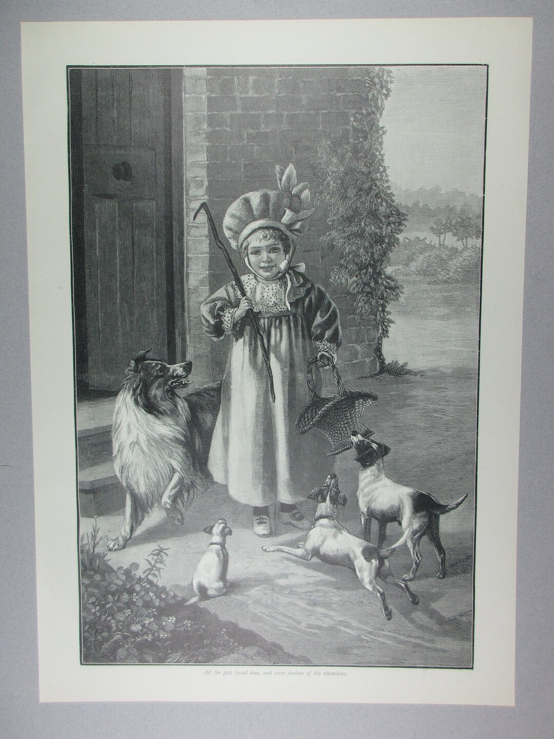 Boy Collie & Jack Russell Terrier Dogs Antique Print 1902 - Etsy