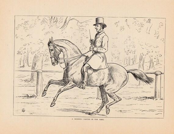 Early Equestrian Man Riding His Horse Equine Animals Antique Horses Art Print 1873