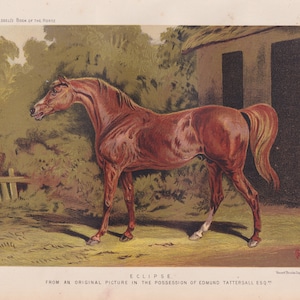 Early Champion Racehorse Thoroughbred Stallion Eclipse Antique Horse Racing Lithograph Equine Horse Art Print 1873
