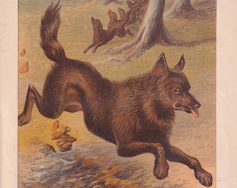 Antieke wolvenlithografie, wolvenkunstprint (1877)