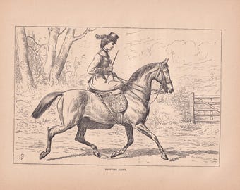Equestrian Lady Riding Horse Sidesaddle Side Saddle Antique Horse Art Print 1873