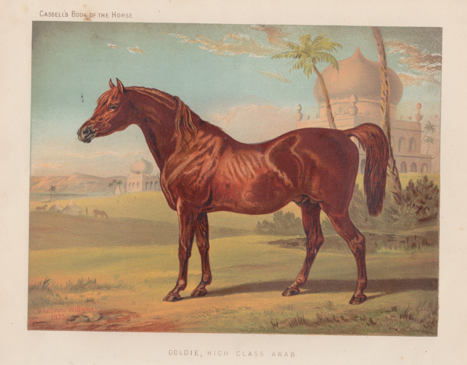 Early horse. Стул в виде лошади. Шкатулка в виде лошади. Картина лошади. Early horse.