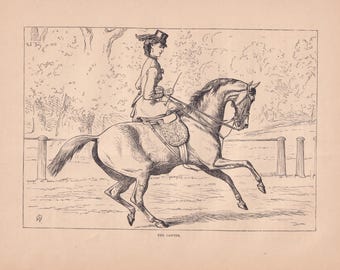Equestrian Lady Riding Horse Sidesaddle Side Saddle Antique Horse Art Print 1873