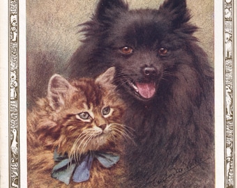 Antique Dog Print: Schipperke with Cat & Jack Russell Terrier Art Print, 1920's Double Sided