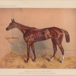 Early Steeplechase Horse Racing Mare Emblem in Stable Lithograph Equine Horse Art Antique Print 1873