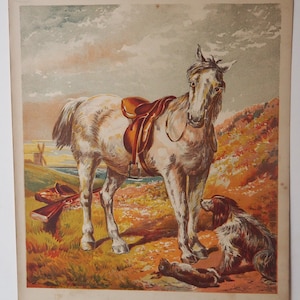 Setter Dog Horse Hunting Scene Antique Lithograph 1872 John Herring Horse Art